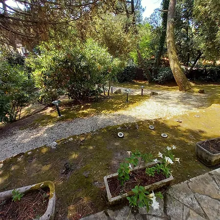 Palais Sur - Emplacement Ideal - Belle Maison - Du Platin