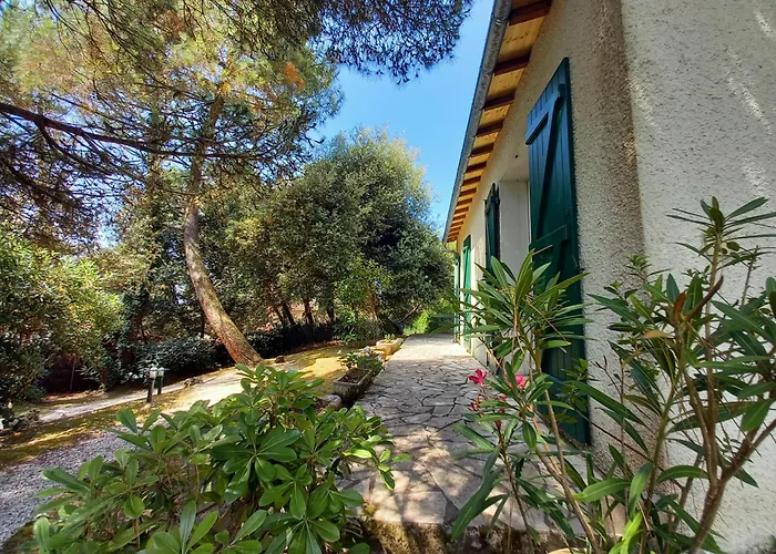 Palais Sur - Emplacement Ideal - Belle Maison - Du Platin סן-פאלה-סור-מר