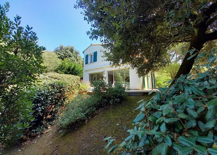 Palais Sur - Emplacement Ideal - Belle Maison - Du Platin * סן-פאלה-סור-מר