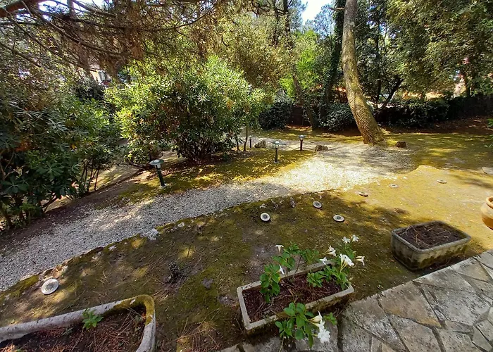 Palais Sur - Emplacement Ideal - Belle Maison - Du Platin